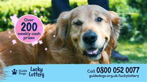 guide dogs lucky lottery.